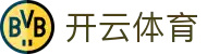 开云·体育官方网站 - 官方主页同步赛事比分 · kaiyun.com